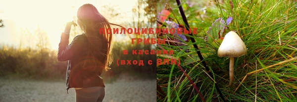 apvp Красноперекопск
