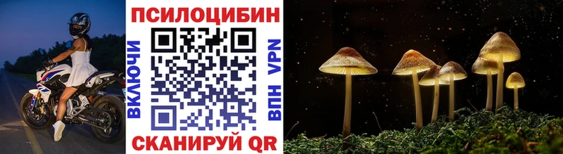 Галлюциногенные грибы мухоморы  гидра tor  Александровское  сколько стоит 